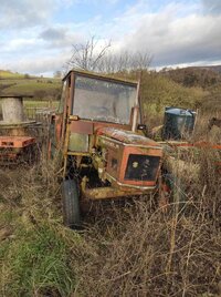 IMG_8364.jpeg