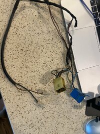 IMG_9670.jpeg