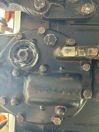 IMG_2519.jpeg