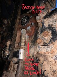 IMG_0717.jpeg